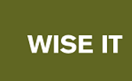 WISE IT GmbH